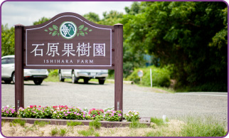 ご来園