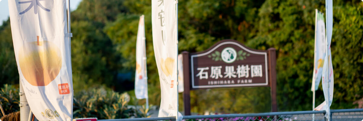 石原果樹園ののぼりと看板