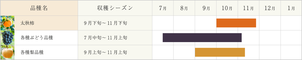 柿カレンダー
